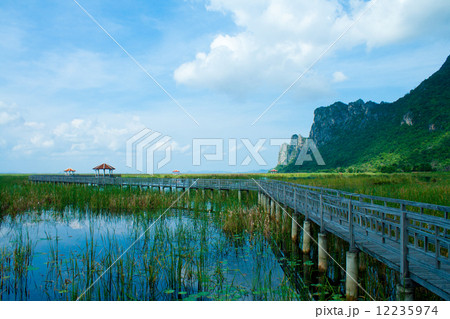 Wooden Bridge in lotus lake at khao sam roi yod national park, t 12235974