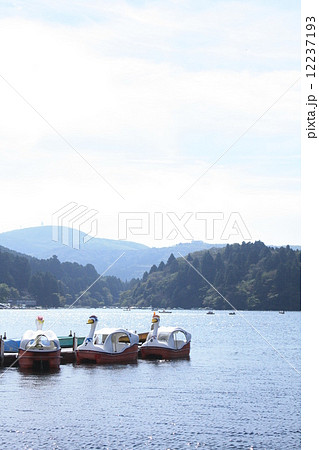 芦ノ湖においでよ 12237193