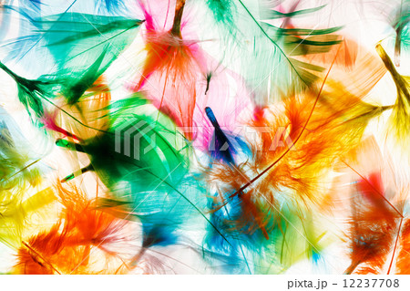 Colorful feathers 12237708