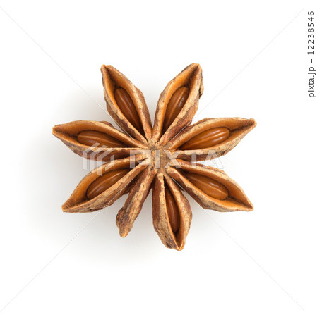 anise star on white anise star on white 12238546