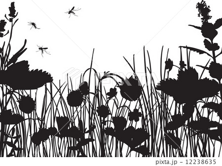 strawberry field silhouette 12238635