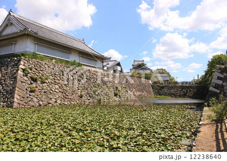 大阪府岸和田城 12238640