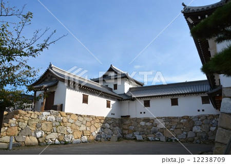初秋の今治城 12238709