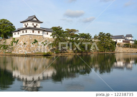 初秋の今治城 初秋の今治城 12238735