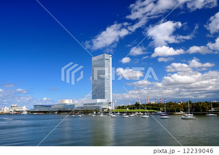 朱鷺メッセと信濃川 12239046