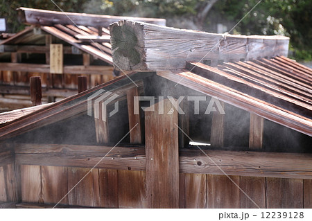 栃木県　日光湯元温泉の源泉 12239128