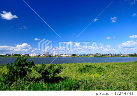 鳥屋野潟と新潟市街 12244743