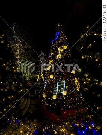 イルミネーション(縦・青♪・黄♪) イルミネーション(縦・青♪・黄♪) 12245041