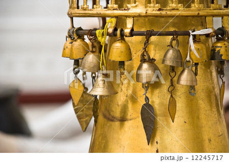 Burmese bells 12245717