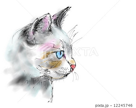猫 イラスト 横顔 最高の画像壁紙アイデア日本ahhd