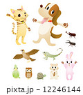 動物と虫 12246144