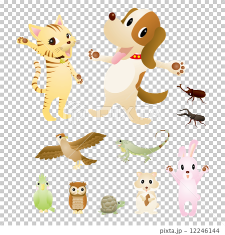 動物と虫 12246144