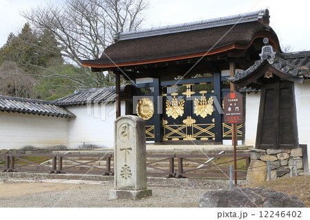 三宝院 12246402