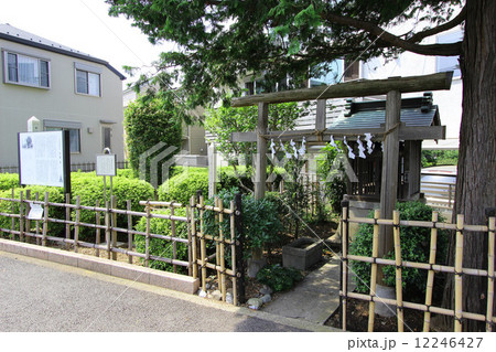 近藤勇生家跡 近藤勇生家跡 12246427