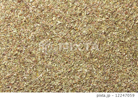 セイボリー セイボリー 12247059