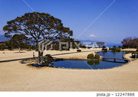 日本平からの富士山 12247866