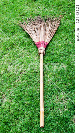 dirty stalk coconut bloom on green grass dirty stalk coconut bloom on green grass 12248121
