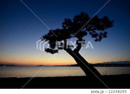 宍道湖畔 宍道湖畔 12248205