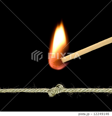 The strong-willed decision The strong-willed decision 12249146