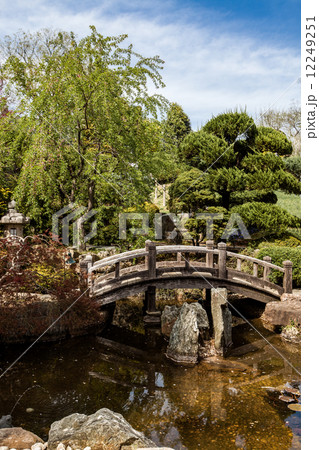 Zen Bridge, crossing pond Zen Bridge, crossing pond 12249251