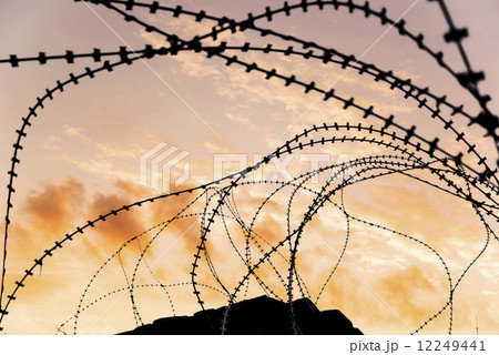 Rolled barbed wires at security zone in sunset Rolled barbed wires at security zone in sunset 12249441