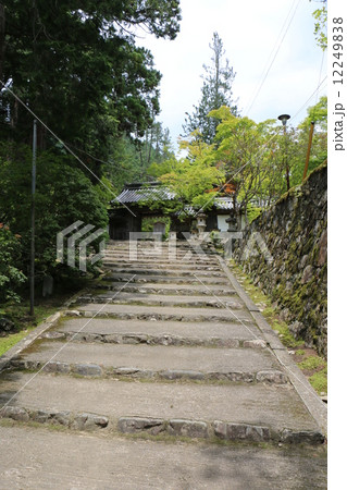 京都　高雄　槙尾 西明寺２ 12249838