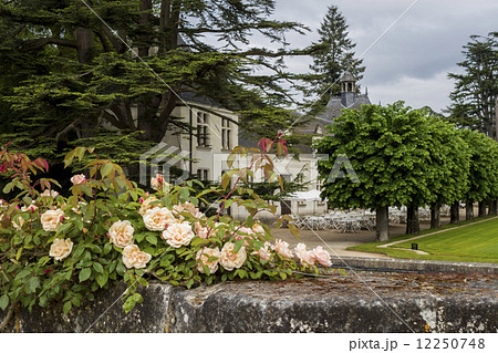 シュノンソーの敷地内 12250748