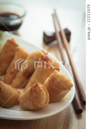 spring rolls fried 12251029
