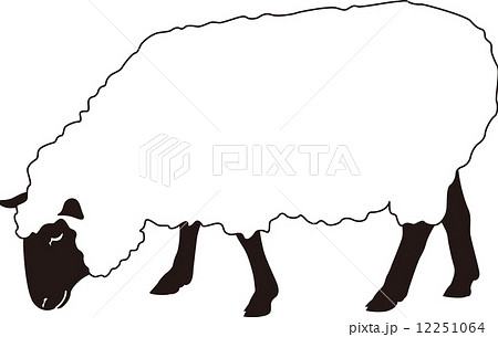 羊 横向き 白のイラスト素材