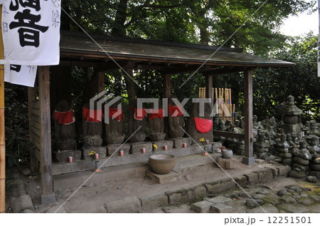 鎌倉 杉本寺 鎌倉 杉本寺 12251501