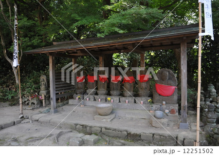 鎌倉　杉本寺 12251502