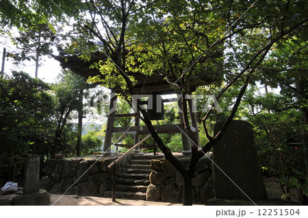 鎌倉 杉本寺 鎌倉 杉本寺 12251504