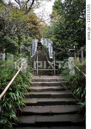 鎌倉　杉本寺 12251520