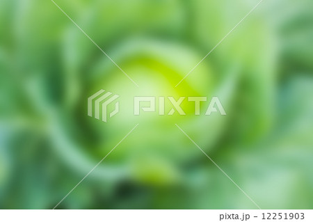 green bokeh abstract light background green bokeh abstract light background 12251903