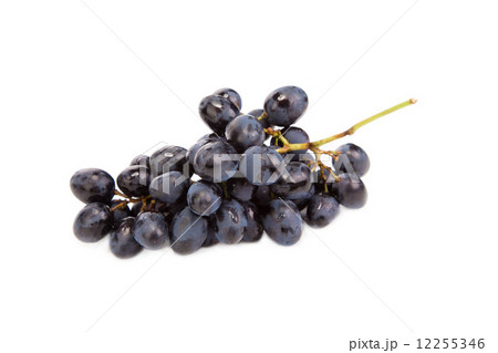 black ripe grapes 12255346