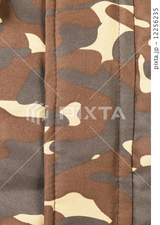 camouflage pattern 12256235