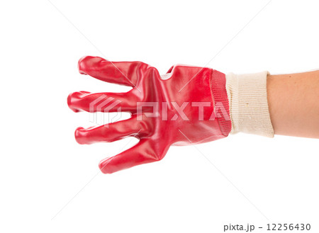 Hand shows four Hand shows four 12256430