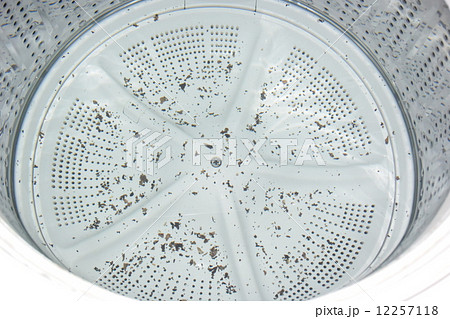 洗濯槽の黒カビ 12257118