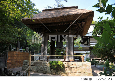 鎌倉 報国寺 鎌倉 報国寺 12257123