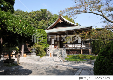 鎌倉　報国寺 12257129