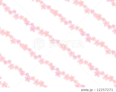 桜　花　春　ソメイヨシノ　さくら　サクラ　花模様　満開　桃色　桜の花　四月　植物　和柄　背景　背景素材　初春　柄　水彩　ピンク　模様　レース模様　重なる　背景　背景素材　イラスト　和　和風　伝統　可憐 12257271