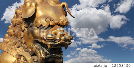 A bronze Chinese dragon statue in the Forbidden City. Beijing, China 12258430