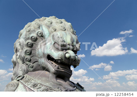 Bronze Guardian Lion Statue in the Forbidden City, Beijing, China Bronze Guardian Lion Statue in the Forbidden City, Beijing, China 12258454