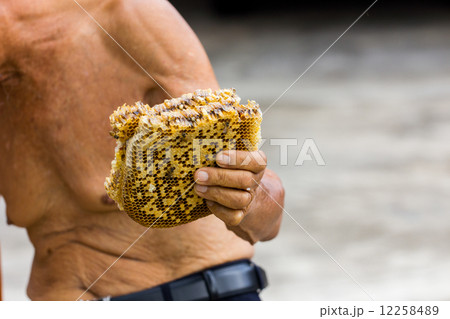 behive in old man's hand, with copyspace behive in old man's hand, with copyspace 12258489
