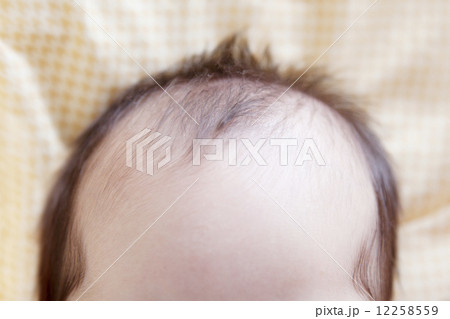 赤ちゃんの頭 赤ちゃんの頭 12258559