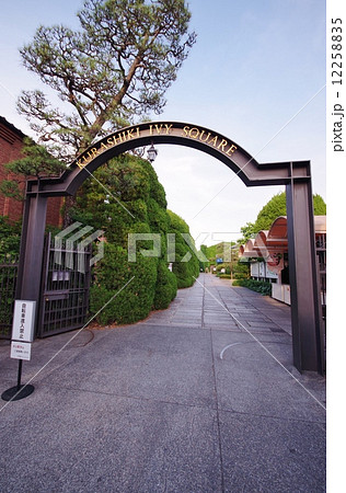 アイビースクエア アイビースクエア 12258835