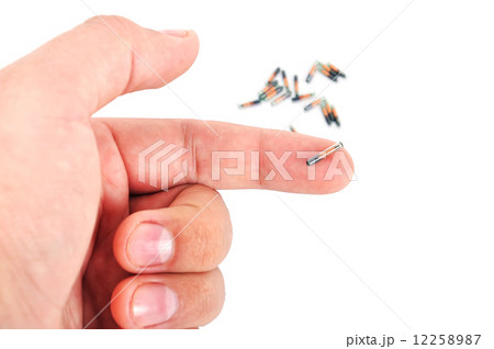 animal implant 12258987