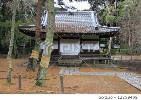醍醐寺 醍醐寺 12259408