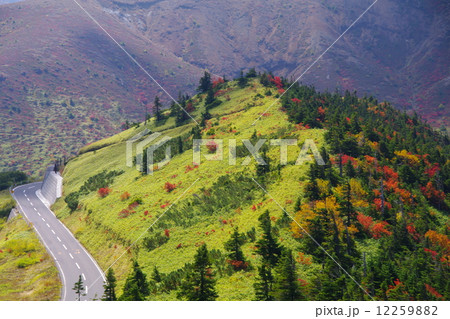 国道292号山田峠付近 12259882