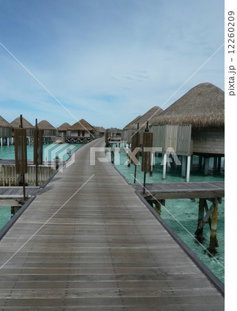 モルディブ　ハラヴェリの桟橋 12260209